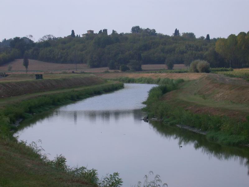 Padule di Fucecchio